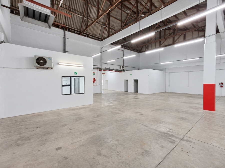 To Let Commercial Property for Rent in Arcadia Eastern Cape